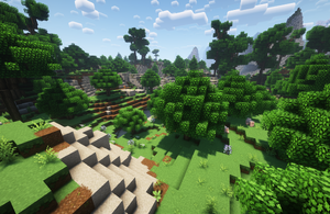 Biome forest.png