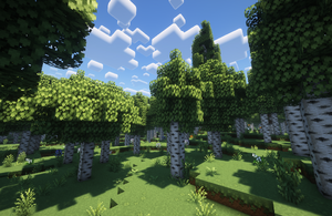 Biome birch.png
