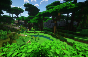 Biome jungle.png